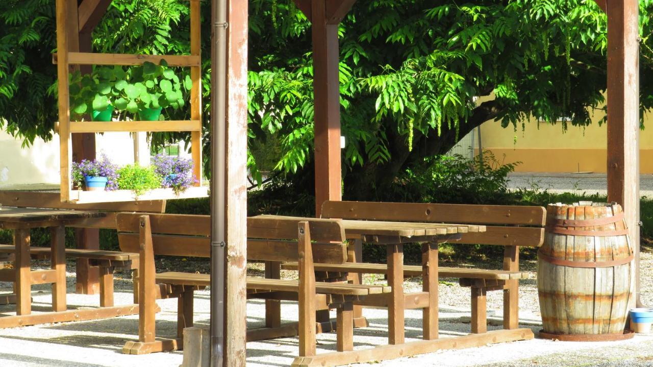 Agriturismo Rivieraoglio Piadena 外观 照片