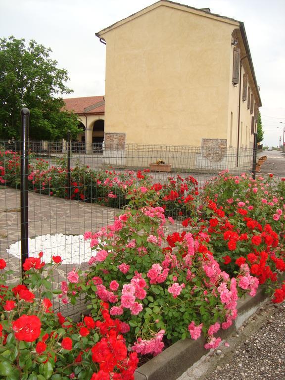 Agriturismo Rivieraoglio Piadena 外观 照片